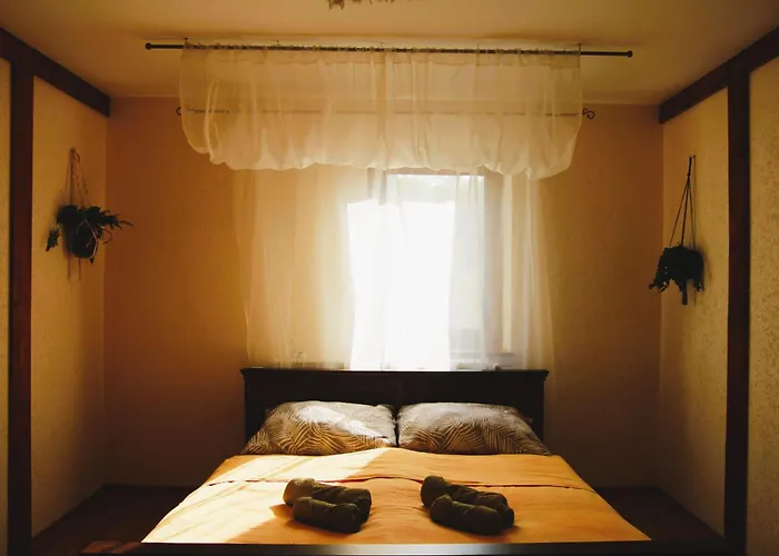 Apartament Zamurna 4